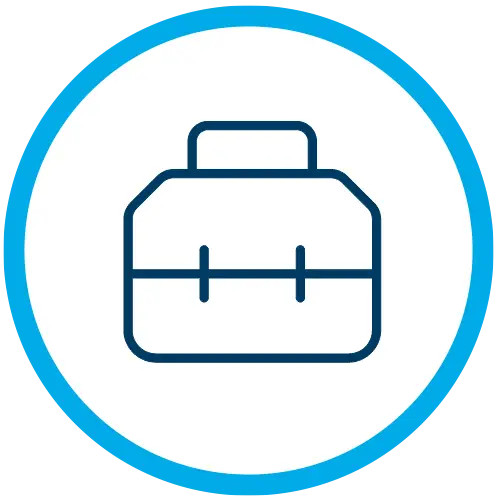 Emerge co-managed IT services 